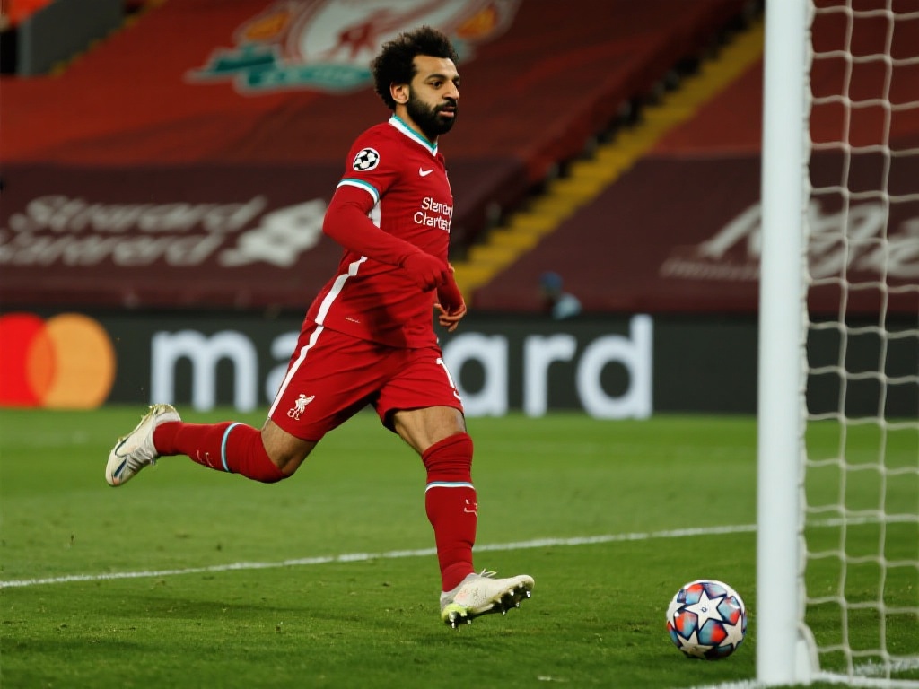 沙奇里的入 沙奇里的入